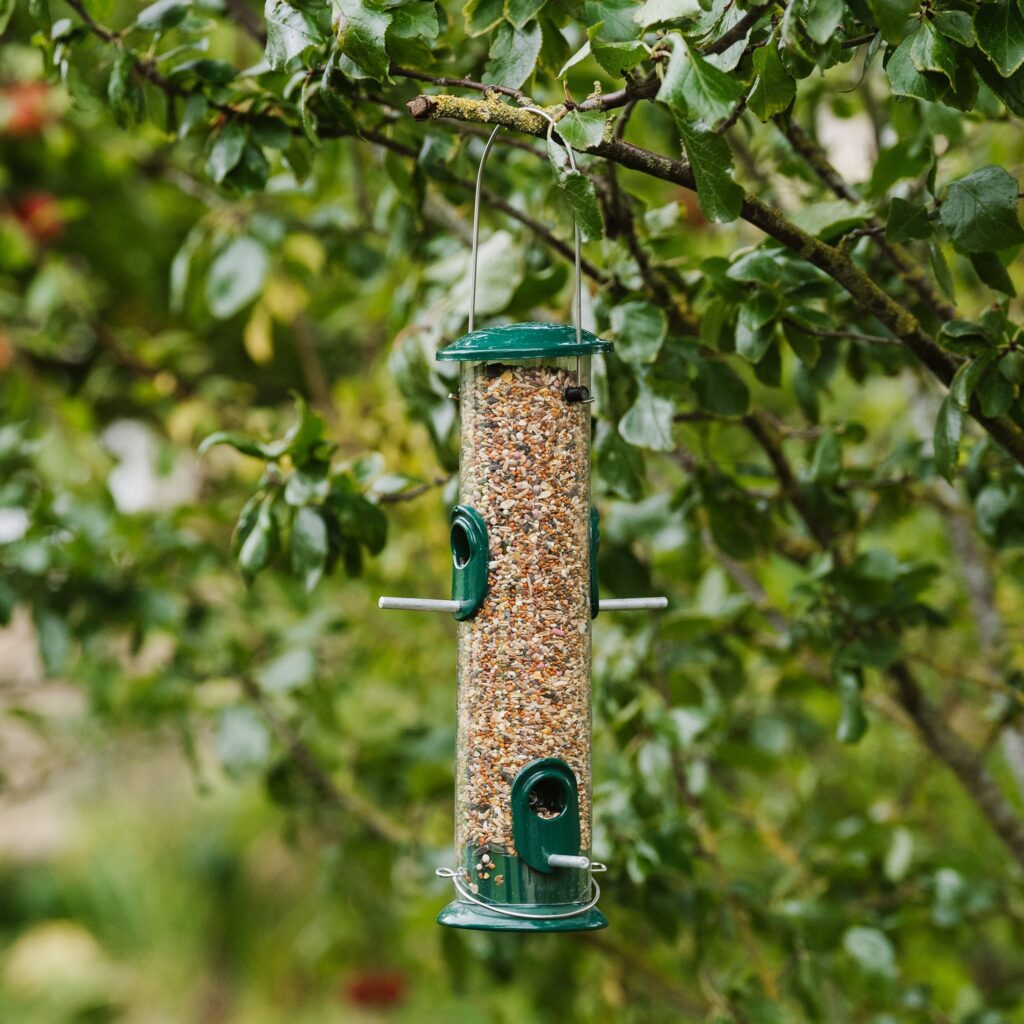 Peckish All Weather Seed Bird Feeder 5060235441066 2